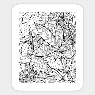 Fallen leaves Sticker